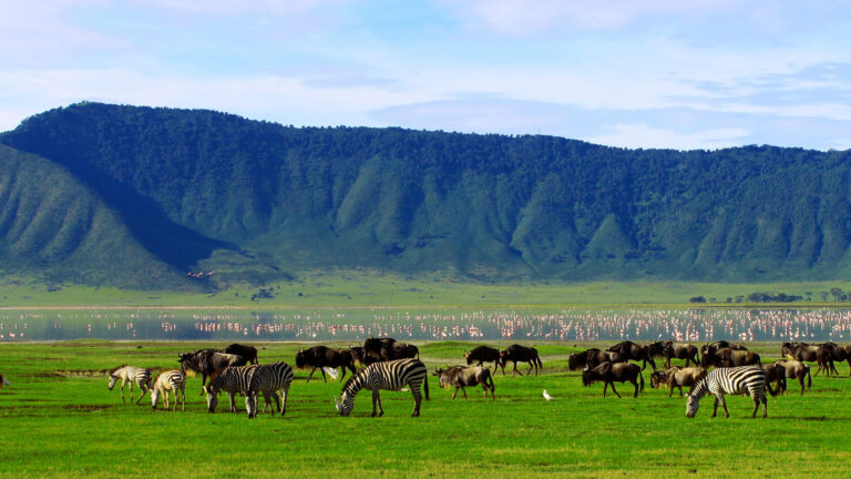 Ngorongoro Conservation Area Guide for 2025-2026