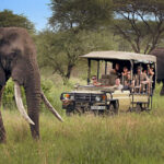 Best Time to Visit Tanzania for a Solo Safari: Month-by-Month Guide 12 Tanzania Tour 1 2