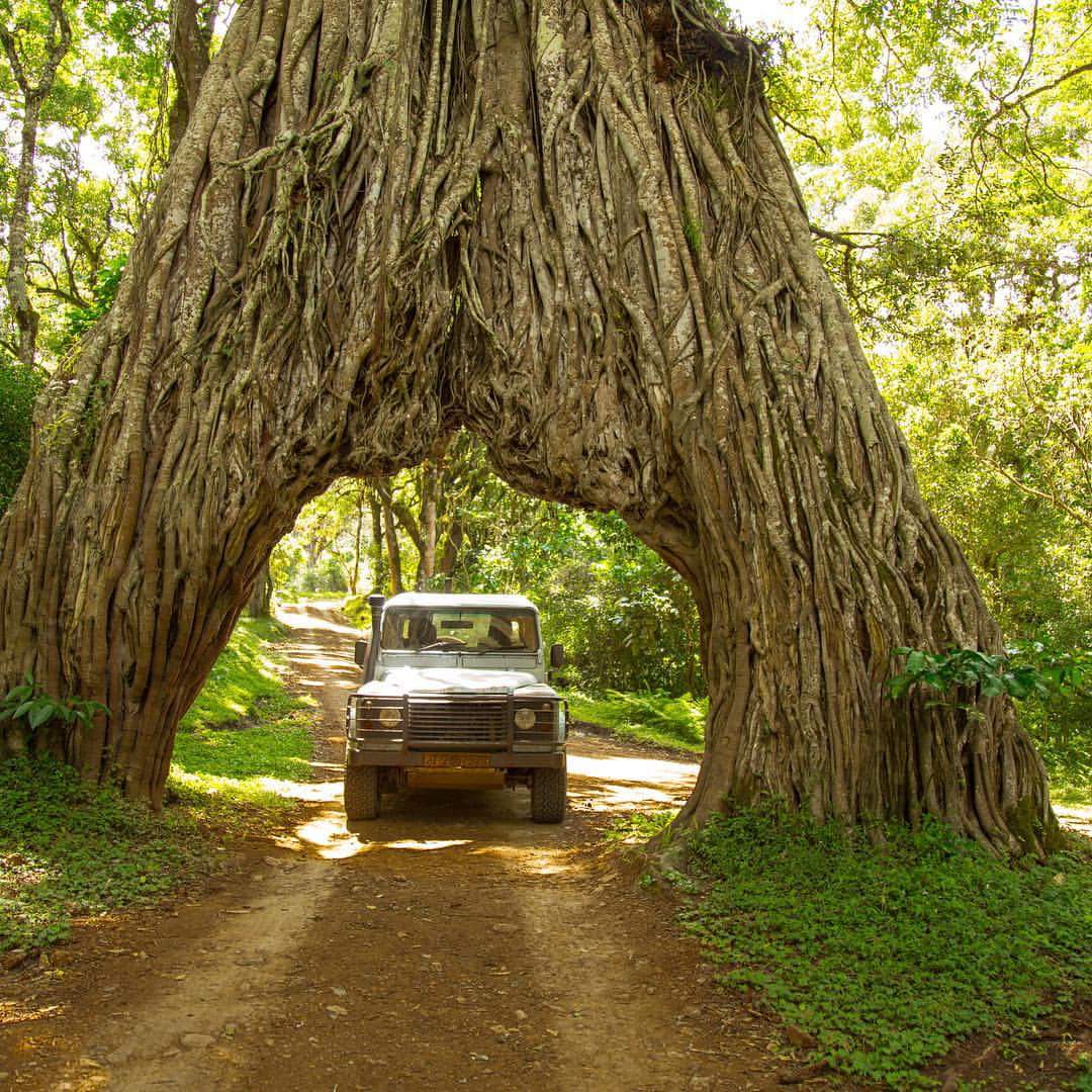 Arusha National Park