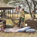 Solo vs. Group Safari: Which is Best for Your Tanzania Adventure? 11 family safari 1