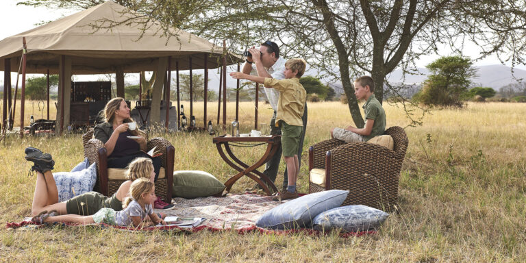 Solo vs. Group Safari: Which is Best for Your Tanzania Adventure?