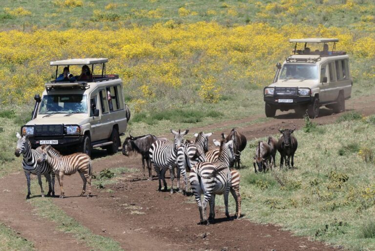 3-Day Northern Circuit Safari: Tarangire & Ngorongoro Crater Big Five Adventure