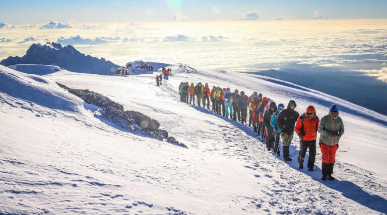 9-Day Lemosho + Northern Circuit: Ultimate Kilimanjaro Trek