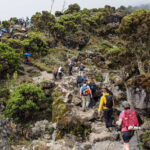 Best Time to Climb: Seasonality, Weather & Crowd Tips for Tanzania’s Big Peaks 2 Best Time to Climb: Seasonality, Weather & Crowd Tips for Tanzania’s Big Peaks