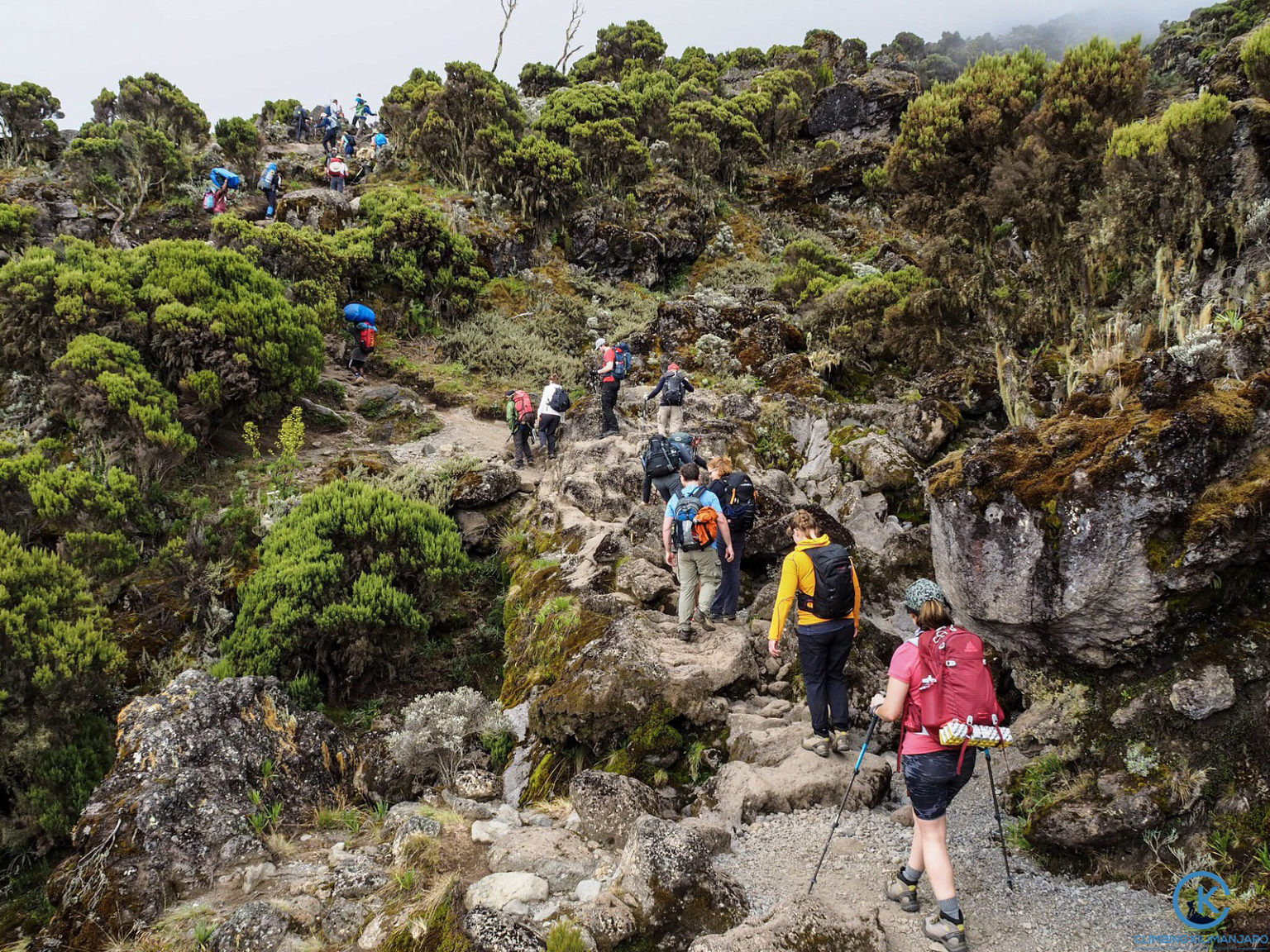 Best Time to Climb: Seasonality, Weather & Crowd Tips for Tanzania’s Big Peaks
