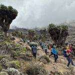 Climbing + Safari: How to Extend Your Mountain Trek with Wildlife Adventures 1 Climbing + Safari: How to Extend Your Mountain Trek with Wildlife Adventures