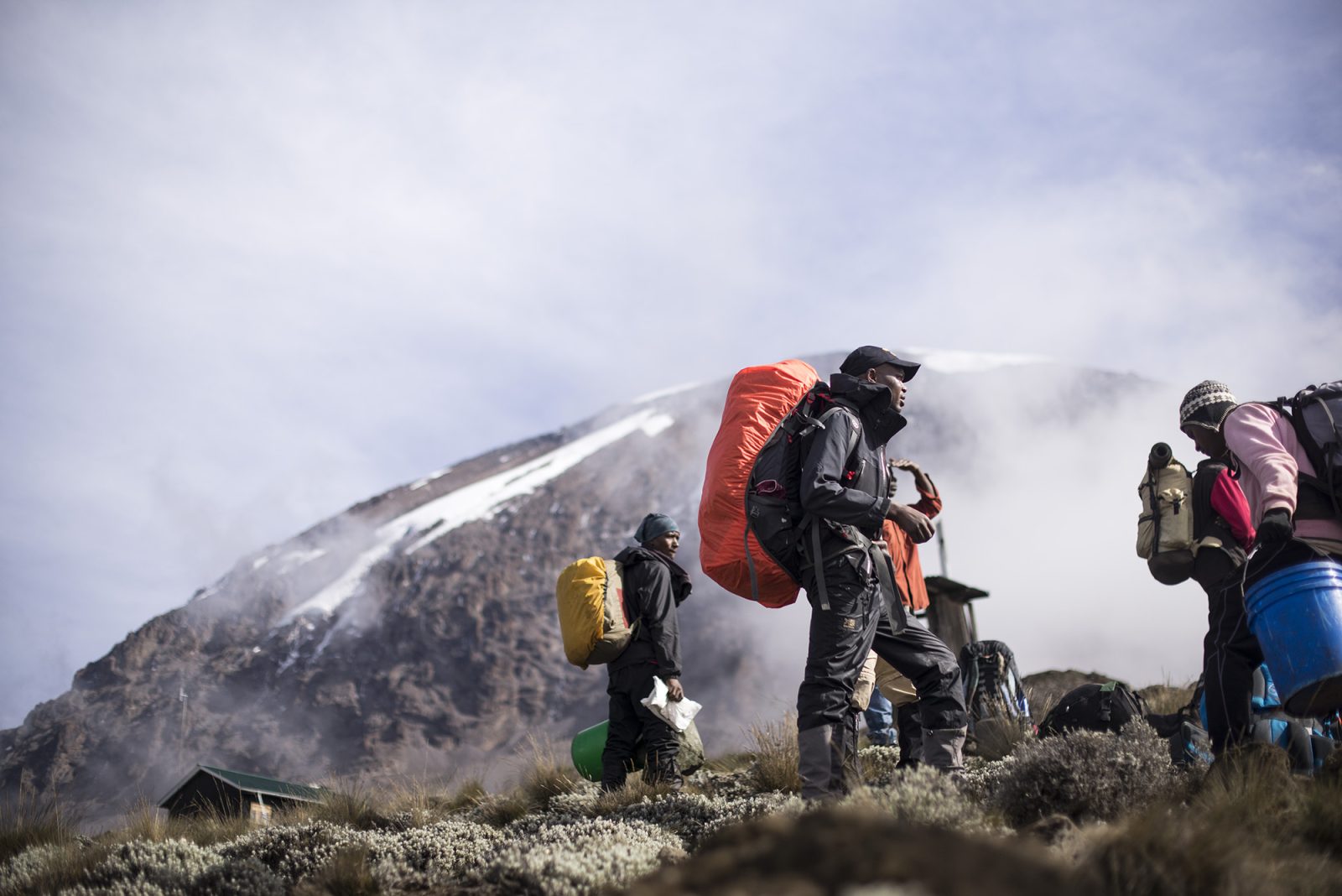Climbing + Safari: How to Extend Your Mountain Trek with Wildlife Adventures
