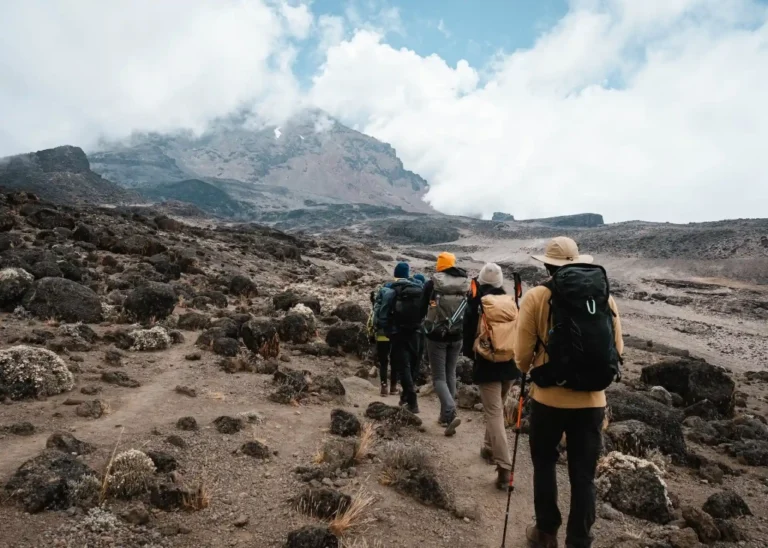 Altitude, Acclimatization & Health: Surviving the Highs of Mountain Safaris