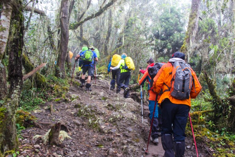 How to Choose the Best Guide for Climbing Safaris: Safety, Ethics, & Experience