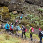 Top Routes, Guides & Tips: Planning Your First Mountain Safari in Tanzania 8 Top Routes, Guides & Tips: Planning Your First Mountain Safari in Tanzania