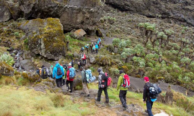 Top Routes, Guides & Tips: Planning Your First Mountain Safari in Tanzania