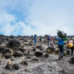 The Ultimate Climbing Safari Guide: What to Know Before Tackling Kilimanjaro & Beyond 9 The Ultimate Climbing Safari Guide: What to Know Before Tackling Kilimanjaro & Beyond