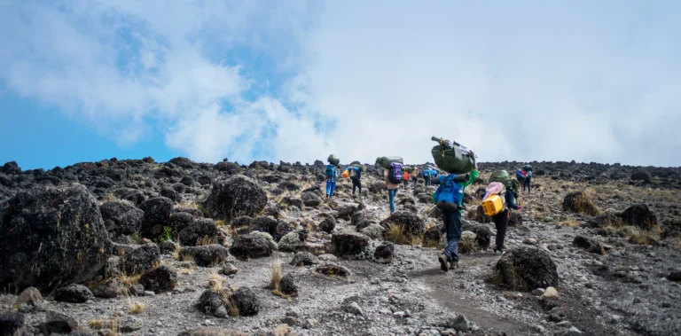 The Ultimate Climbing Safari Guide: What to Know Before Tackling Kilimanjaro & Beyond