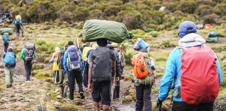 Training & Gear Checklist for Climbing Safaris: Prepare Like a Pro