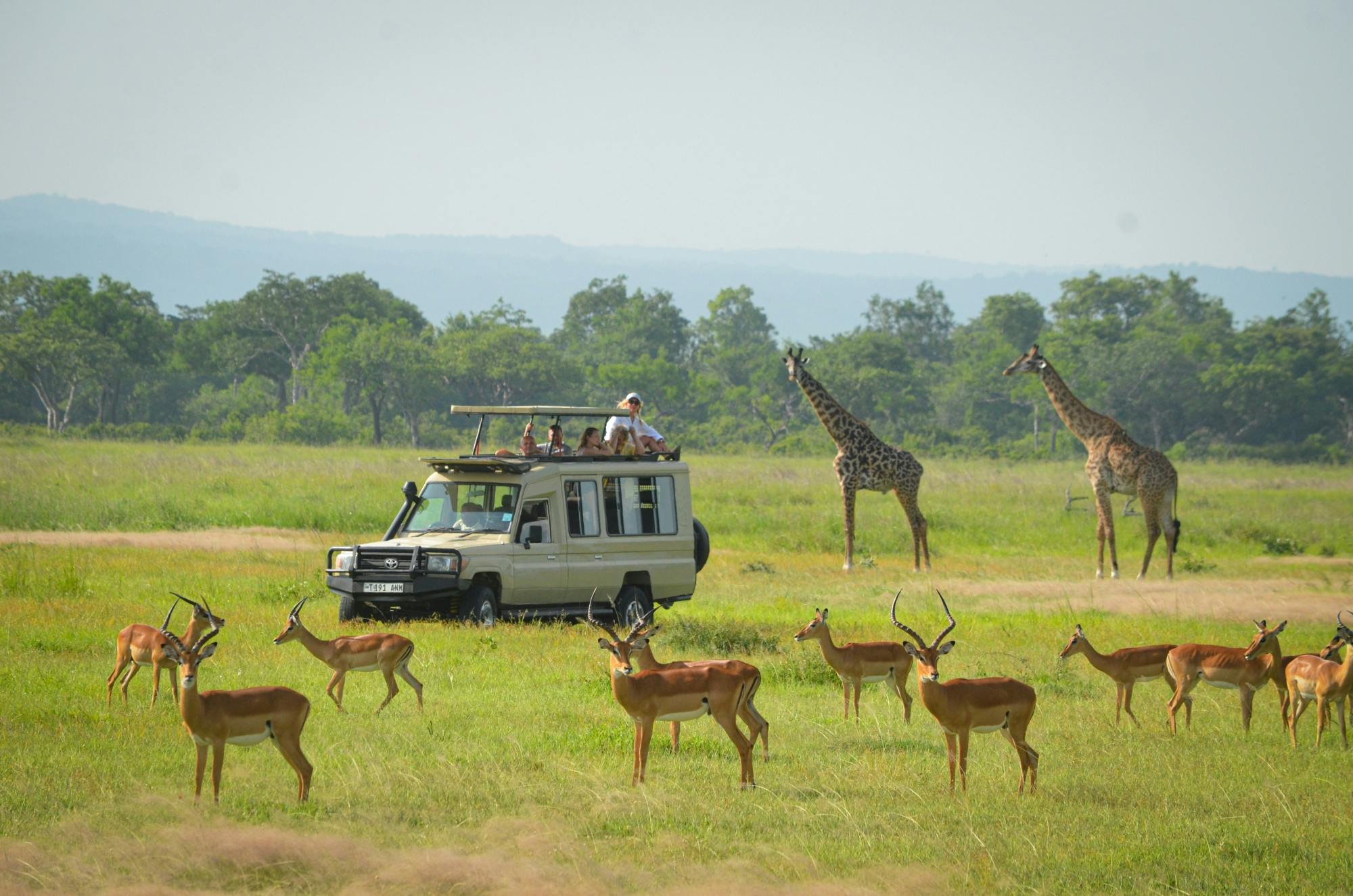 Mikumi National Park